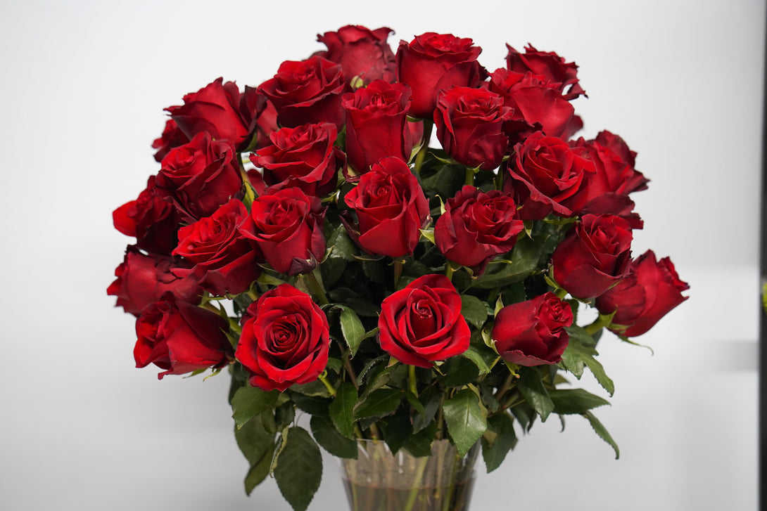 Columbia Red Roses THE ULTIMATE ROSES – Columbia Midtown Florist