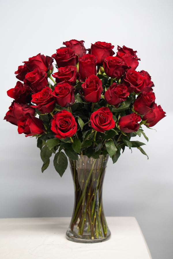 THE ULTIMATE ROSES