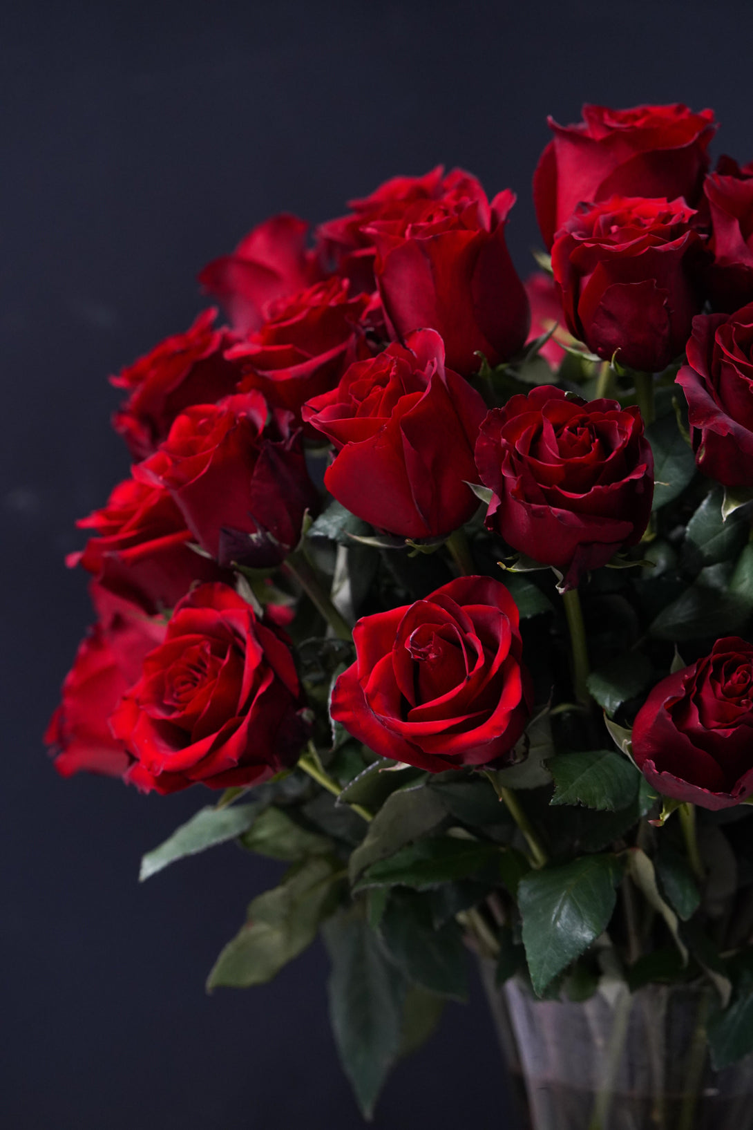 Columbia Red Roses THE ULTIMATE ROSES – Columbia Midtown Florist
