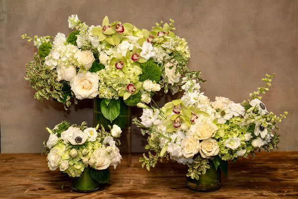 TIMELESS GARDEN Greens and whites