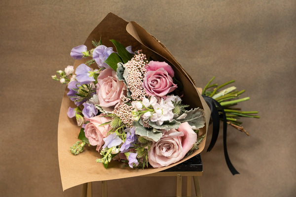 Celebrate Softness